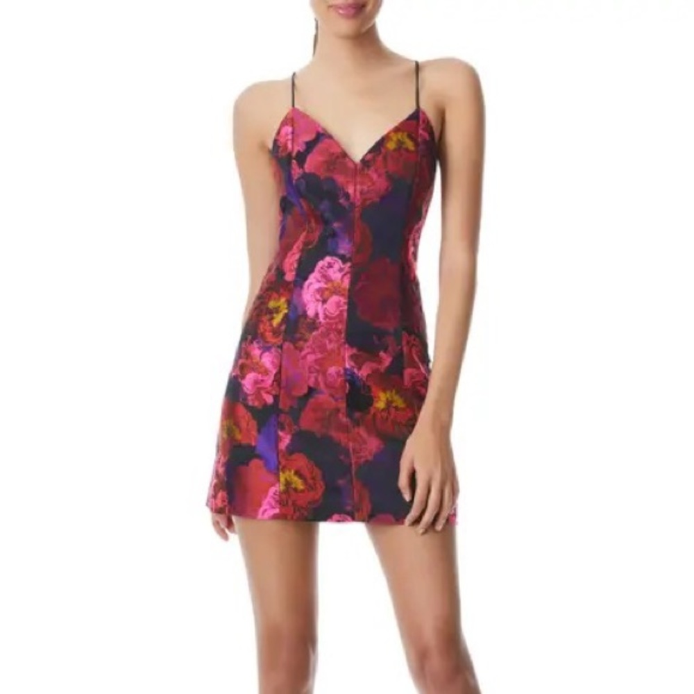 Alice + Olivia Tie Dye Red Silk Slip Dress